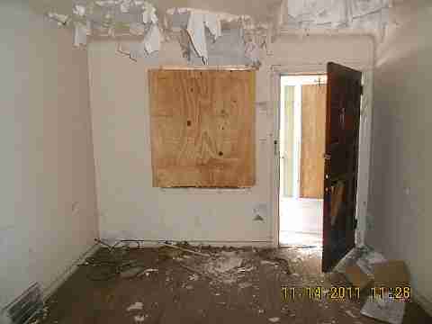 7485 American (9)_m.jpg